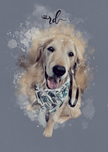Amy Rynhart creates custom pet art from unique photos like this golden retriever painting.
